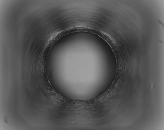 X0000091910776200709051211