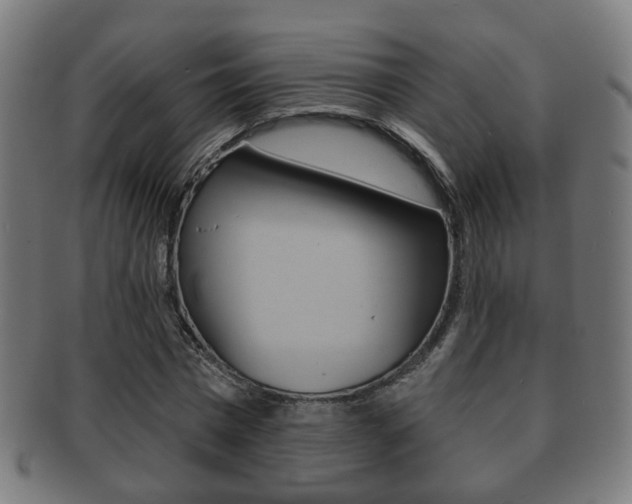 X0000091910777200709051211
