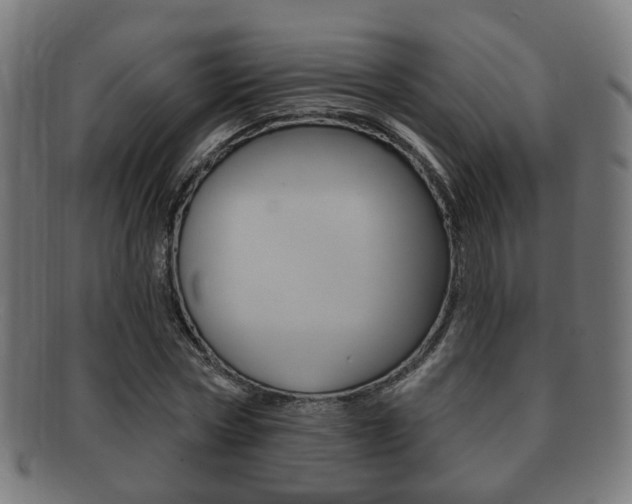 X0000091910778200709051211