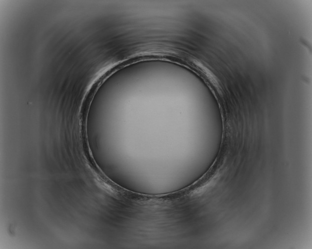 X0000091910779200709051211