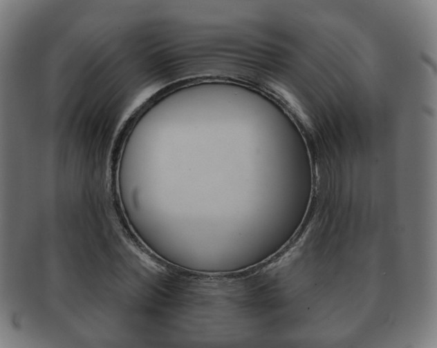 X0000091910780200709051211