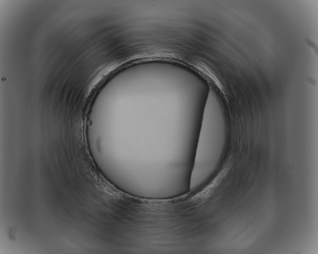 X0000091910781200709051211