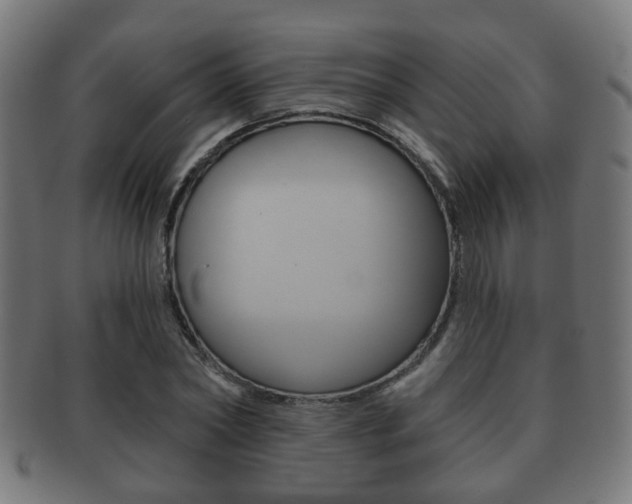 X0000091910782200709051211