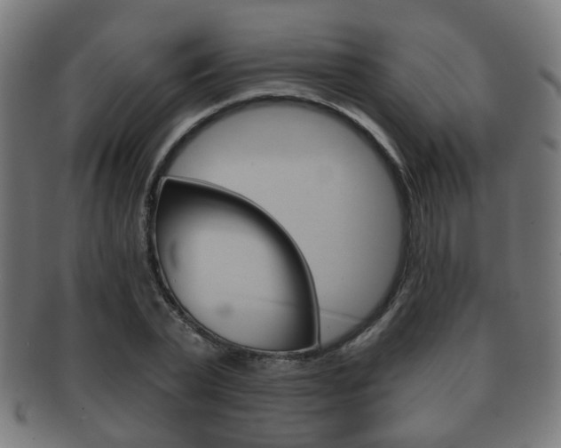 X0000091910783200709051211