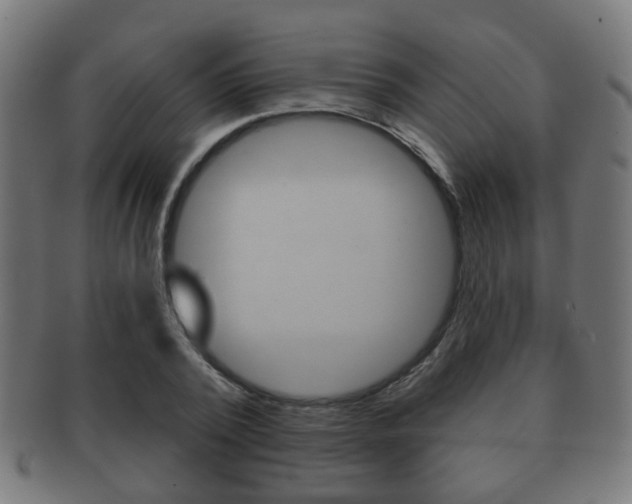 X0000091910784200709051211