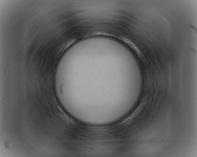 X0000091910785200709051211