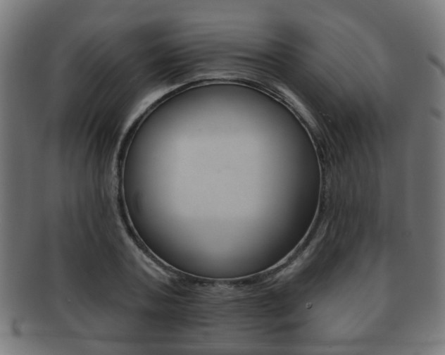 X0000091910787200709051211