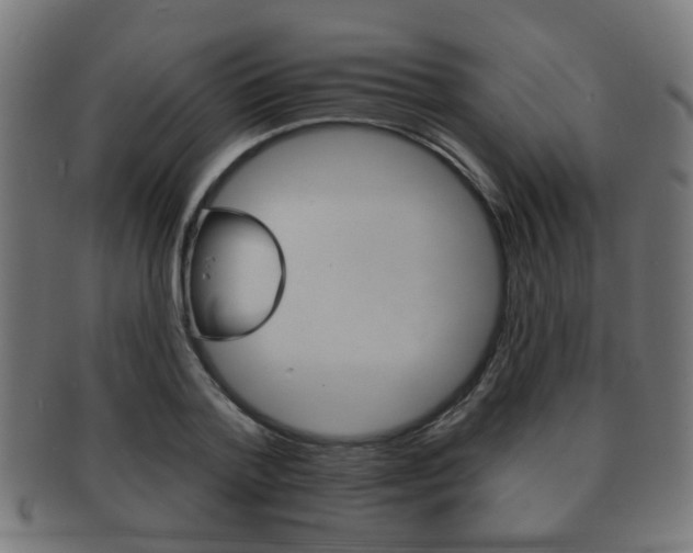 X0000091910788200709051210