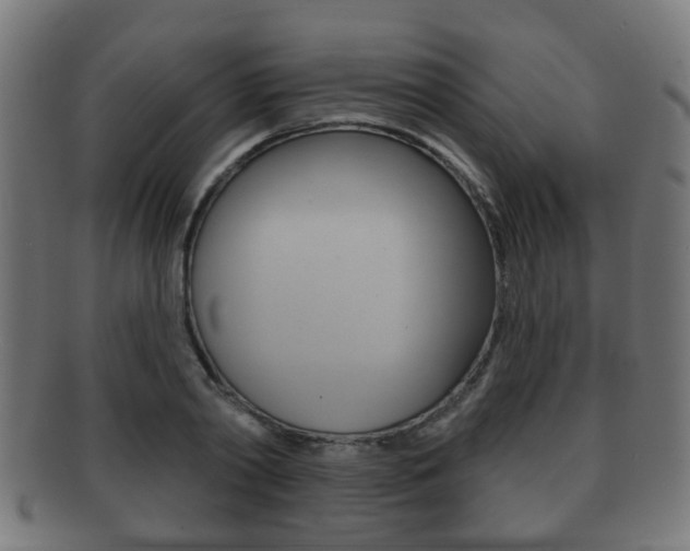 X0000091910790200709051210