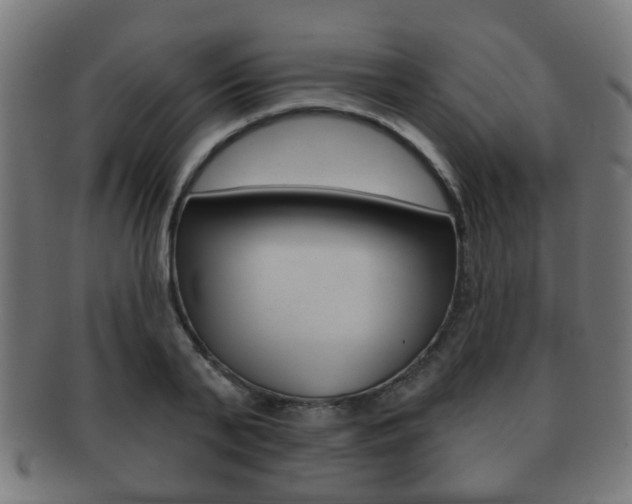 X0000091910791200709051210