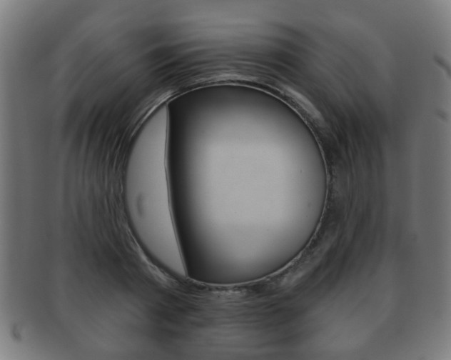 X0000091910793200709051210