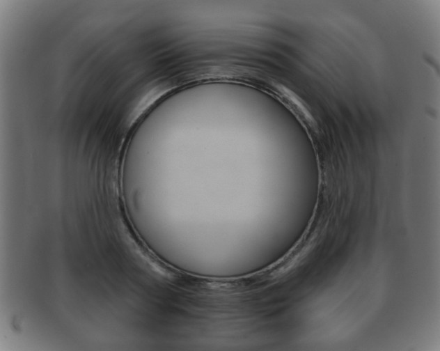 X0000091910794200709051210