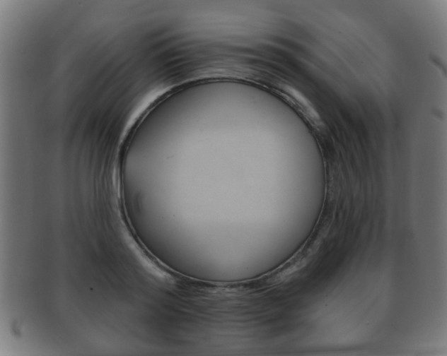 X0000091910796200709051210