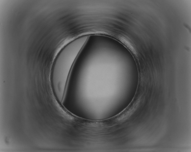 X0000091910797200709051210