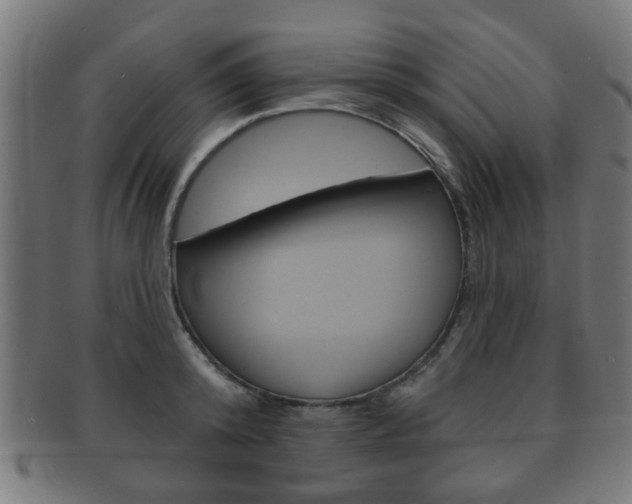 X0000091910800200709051210