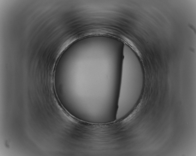 X0000091910802200709051210