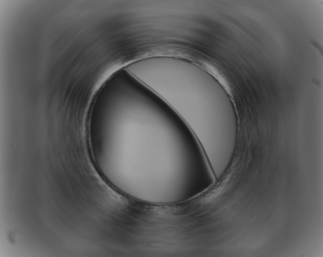 X0000091910803200709051210