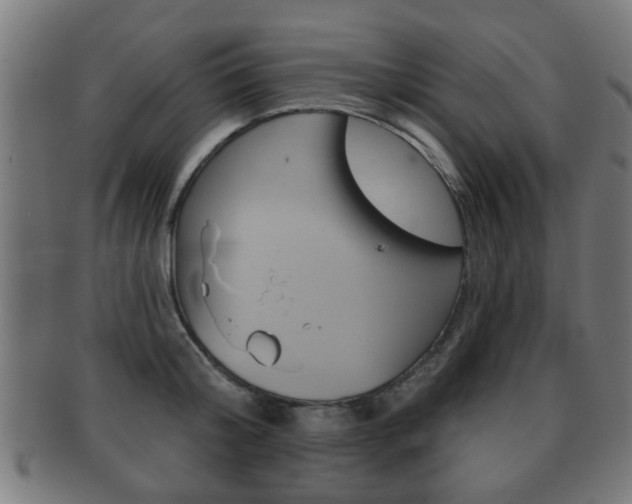 X0000091910804200709051210