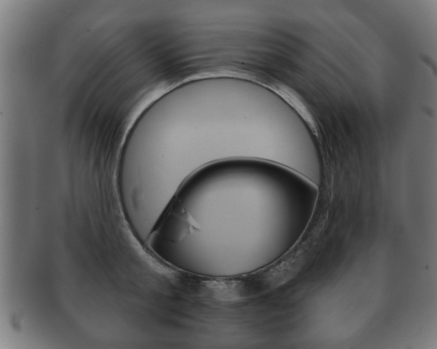 X0000091910805200709051210
