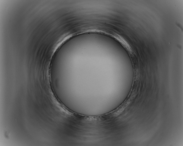 X0000091910806200709051210