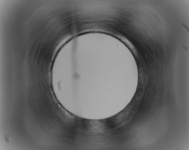 X0000091910807200709051210