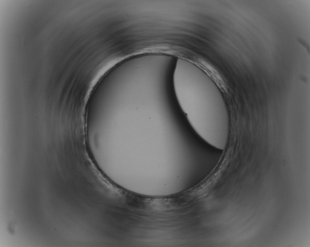 X0000091910808200709051210