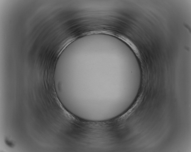 X0000091910809200709051210
