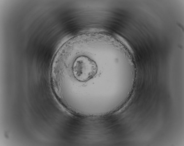 X0000091910810200709051210
