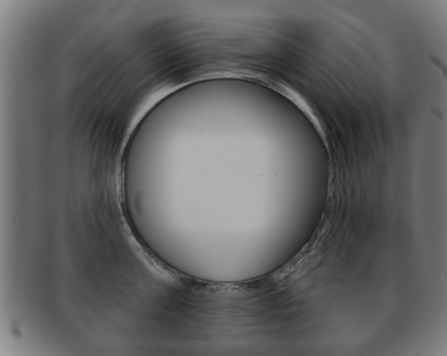 X0000091910811200709051210