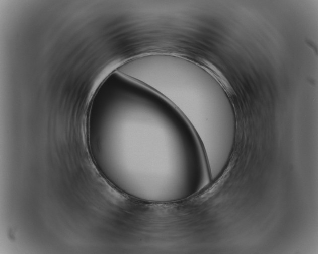 X0000091910812200709051210