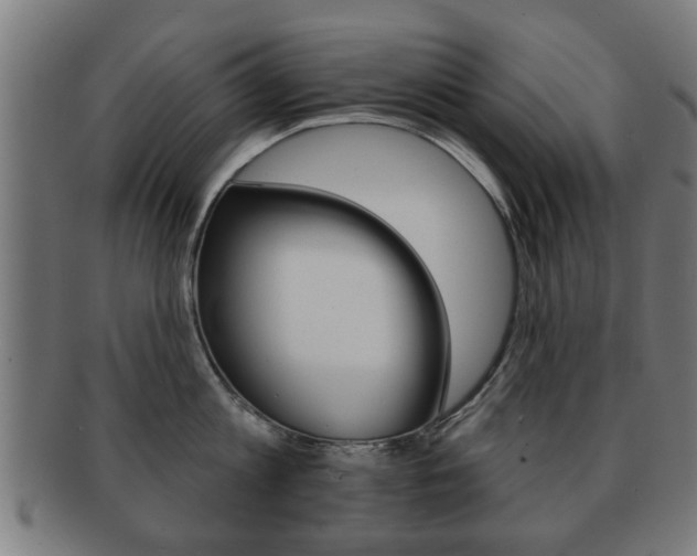 X0000091910813200709051210