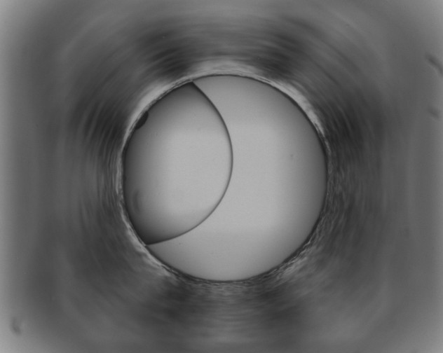 X0000091910815200709051210