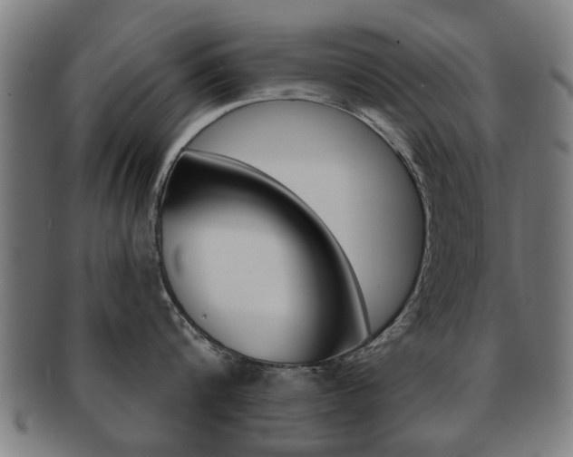 X0000091910816200709051210