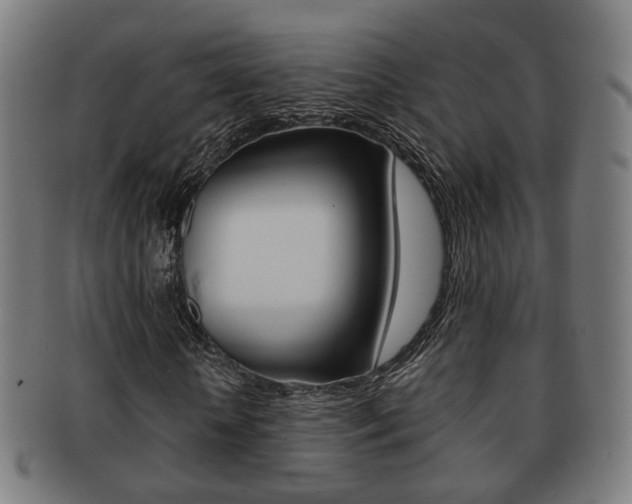 X0000091910818200709051209