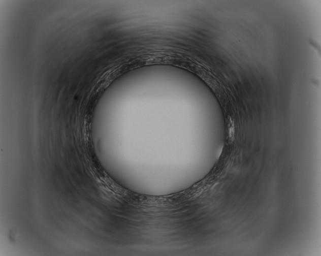 X0000091910819200709051209