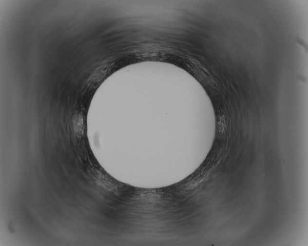 X0000091910820200709051210
