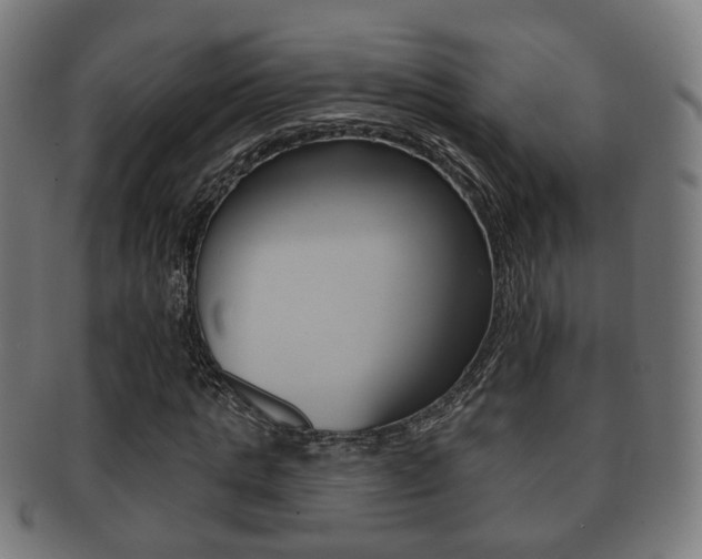 X0000091910821200709051210