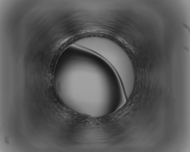 X0000091910822200709051210