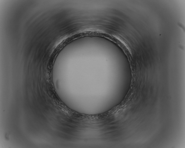 X0000091910823200709051210