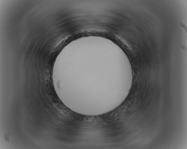X0000091910824200709051210