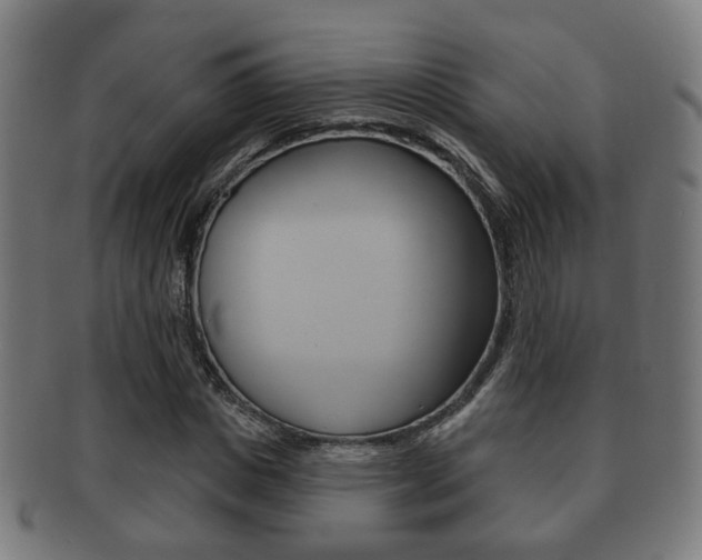 X0000091910825200709051210