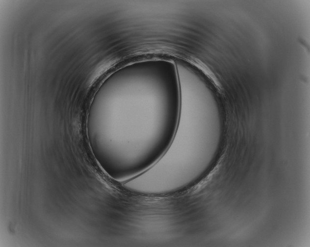 X0000091910826200709051210