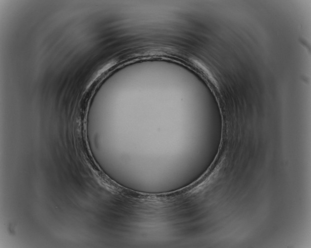X0000091910827200709051210