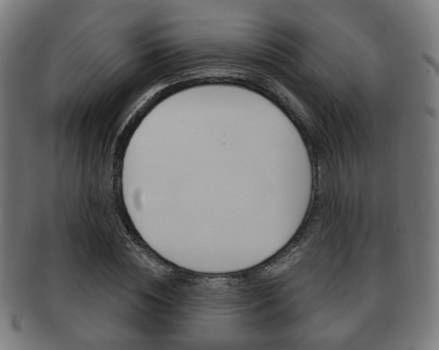 X0000091910828200709051210