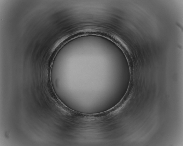 X0000091910829200709051210