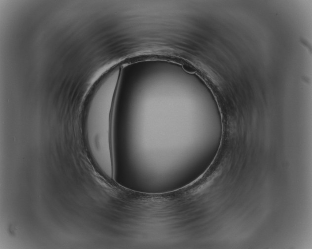 X0000091910830200709051210