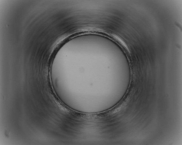 X0000091910831200709051210