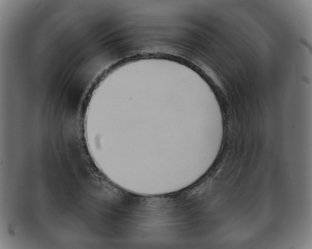 X0000091910832200709051210