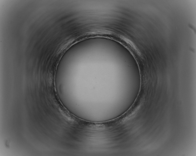 X0000091910833200709051210