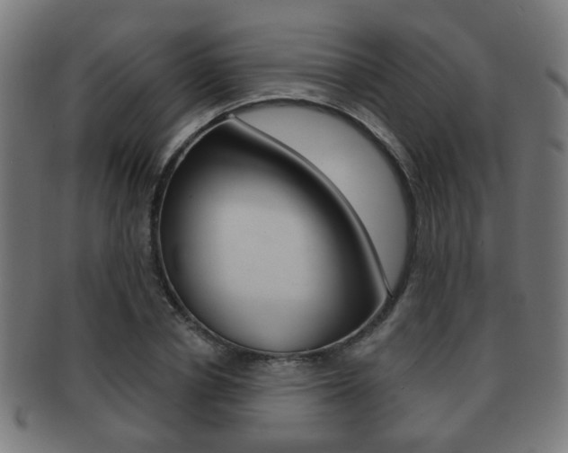 X0000091910834200709051210